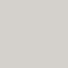 Light Grey NCS S 1500-N
